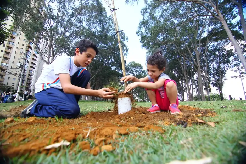 Em homenagem às vítimas da Covid-19, Bosque da Memória será inaugurado em São José