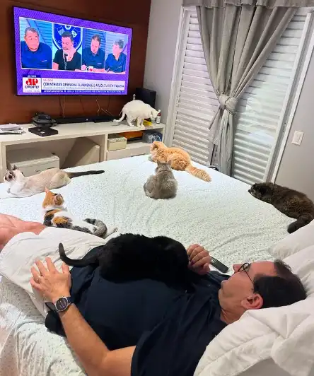 Deinter e MP investigarão fala de Anderson "chuta o gato"
