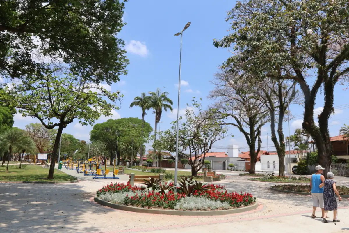 Prefeitura de Jacareí inicia consulta pública sobre o Plano Municipal de Arborização Urbana. Participe!