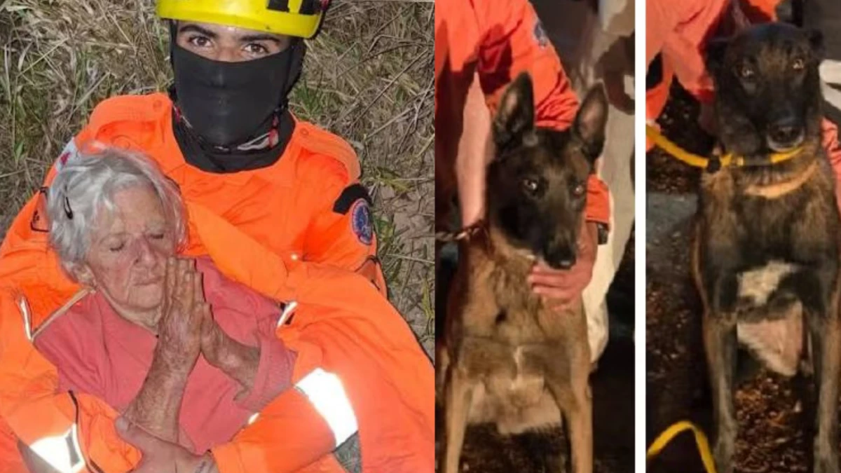Idosa de 95 anos com Alzheimer é encontrada em área de mata pelos Bombeiros com ajuda da cadela Meg