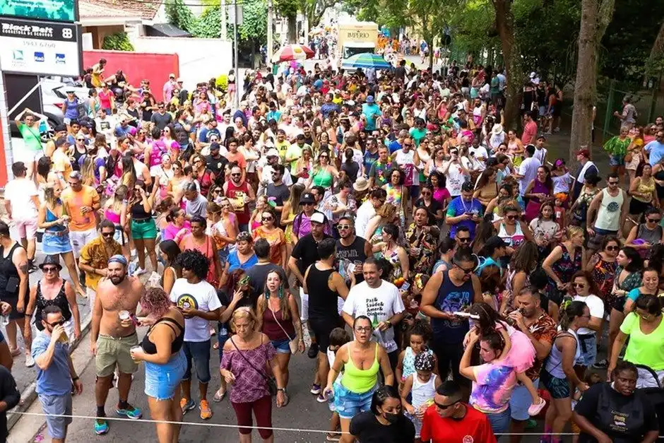 Vai curtir o Carnaval? Confira dicas para proteger seu cartão e celular de golpes  