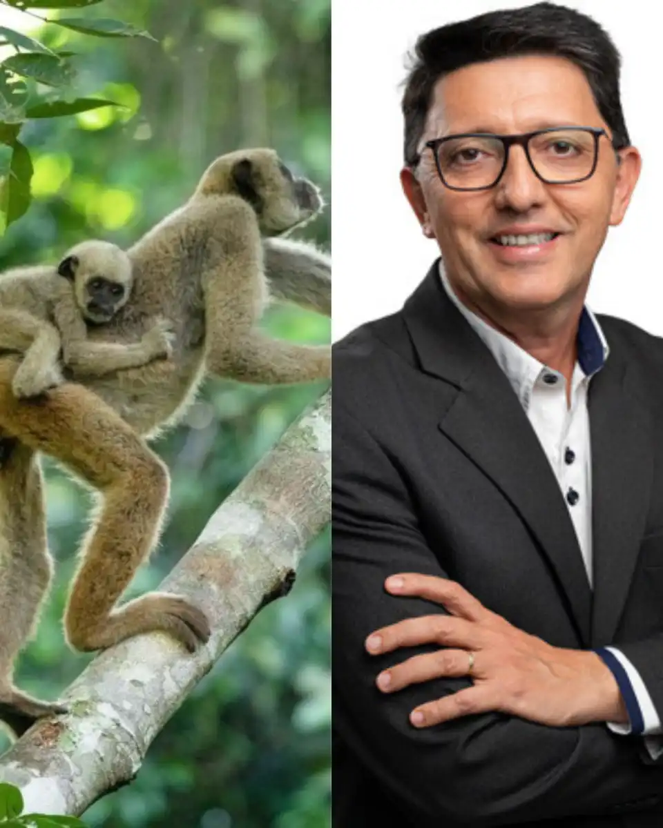 Vereador apresenta projeto para criar ‘Dia do Muriqui’