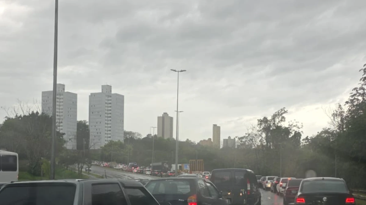 São José registra 80 mm de chuva e lidera acumulado no estado de SP