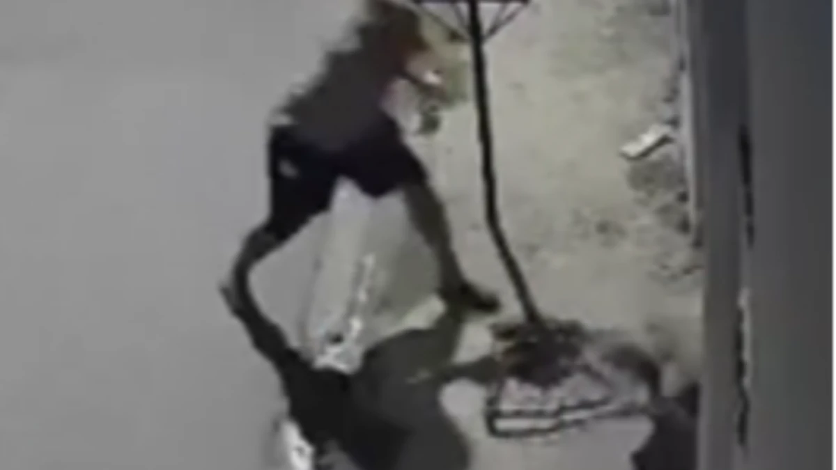 Homem é preso em flagrante após agredir cachorro a pauladas em Atibaia
