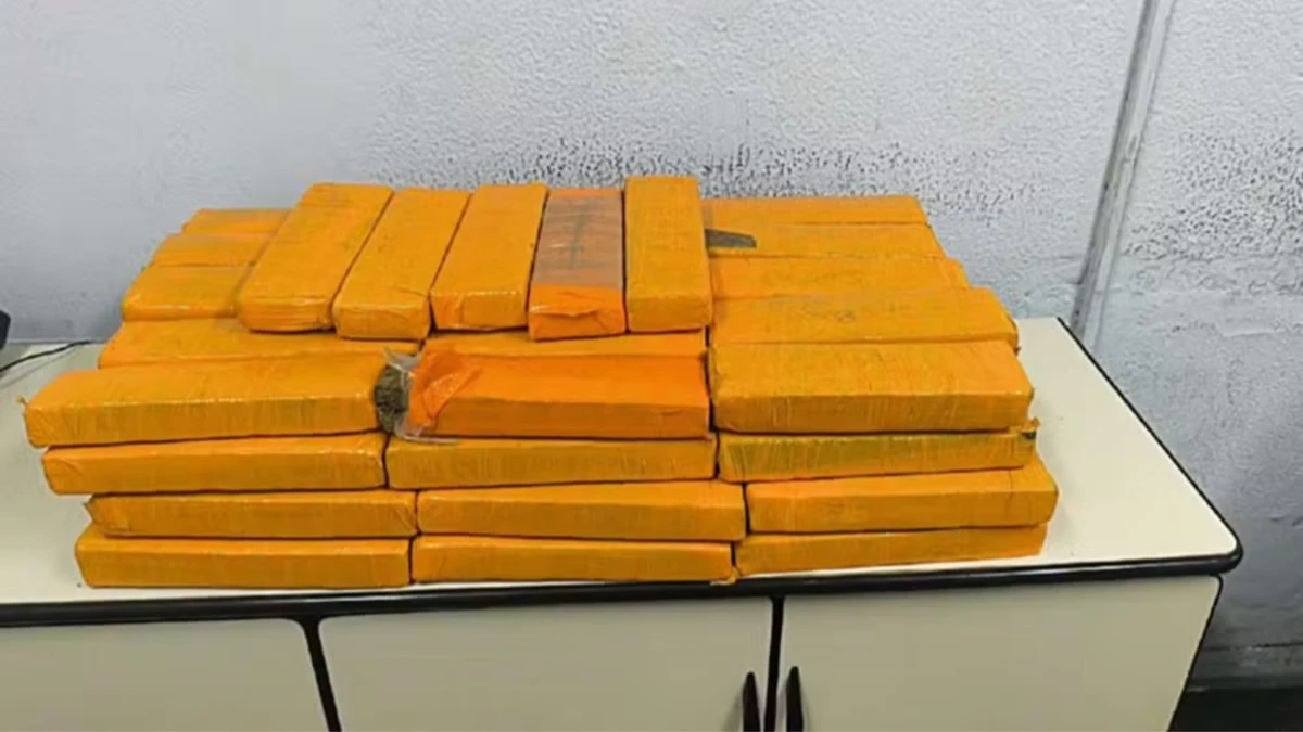 Polícia apreende 30 kg de maconha escondidos em freezer de adega