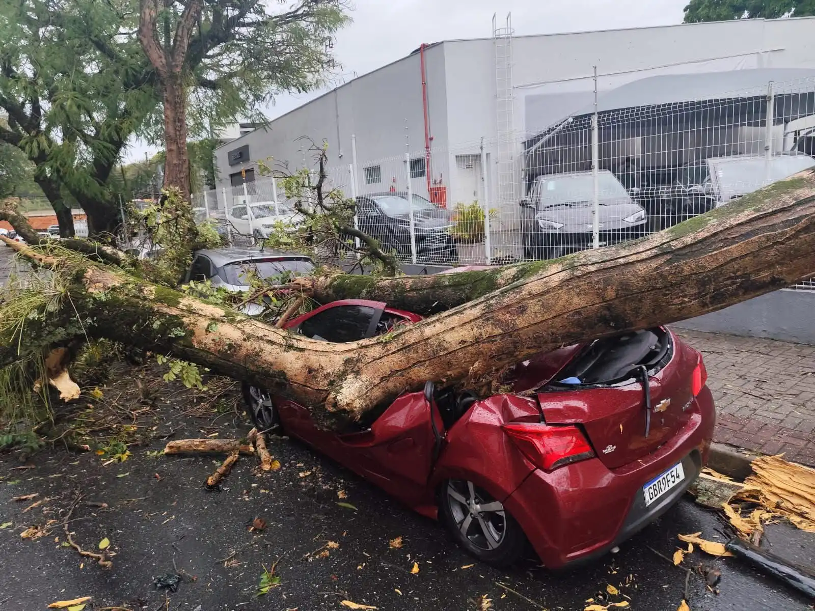 Árvore atinge carro do Jd. Augusta em São José dos Campos