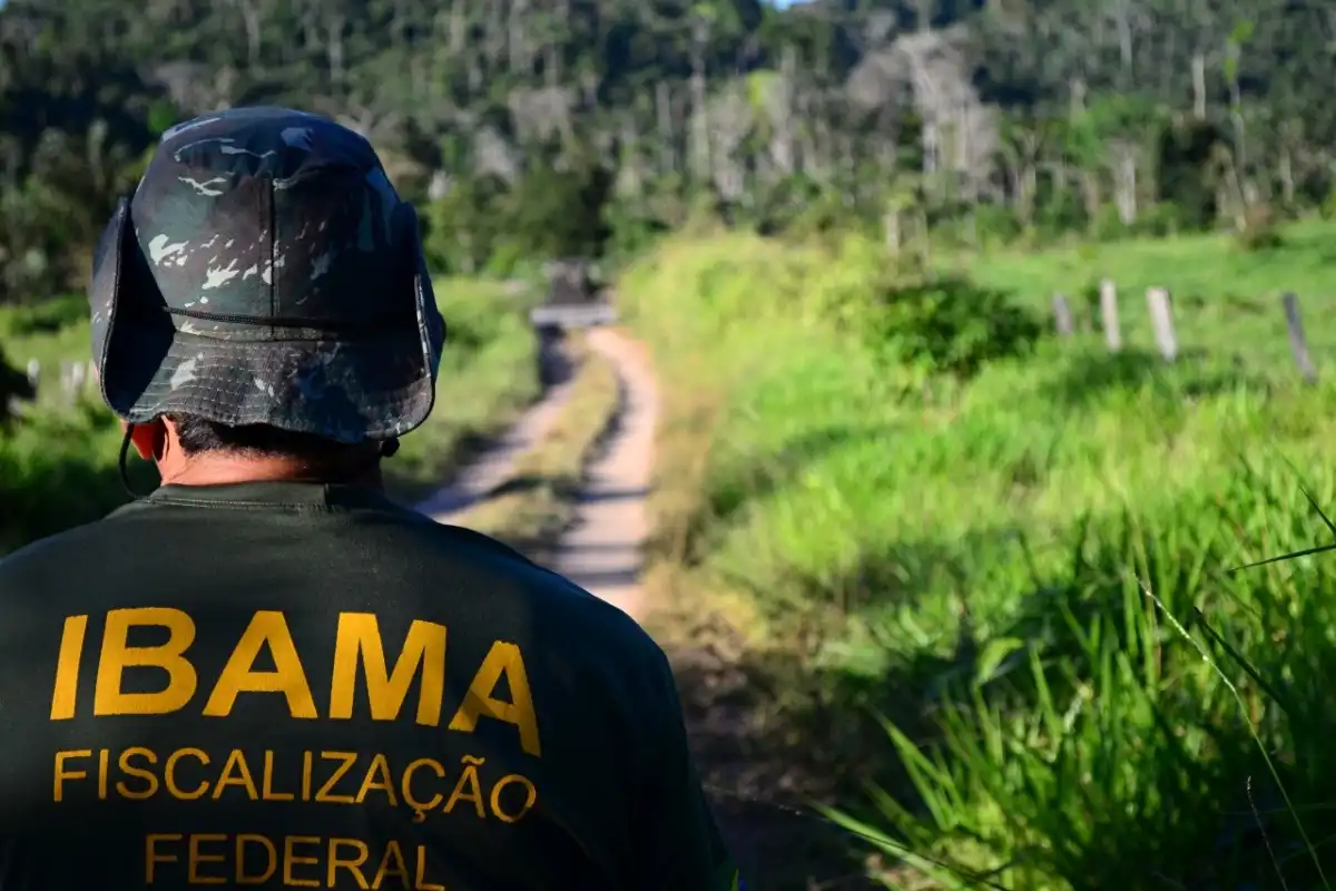 Ibama define datas das audiências públicas para discutir UTE SP