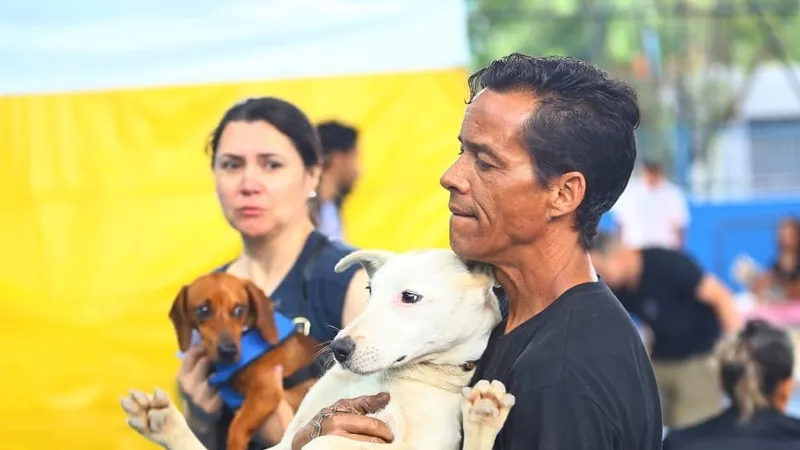 Prefeitura de SJC abre inscrições para castração gratuita de cães e gatos 
