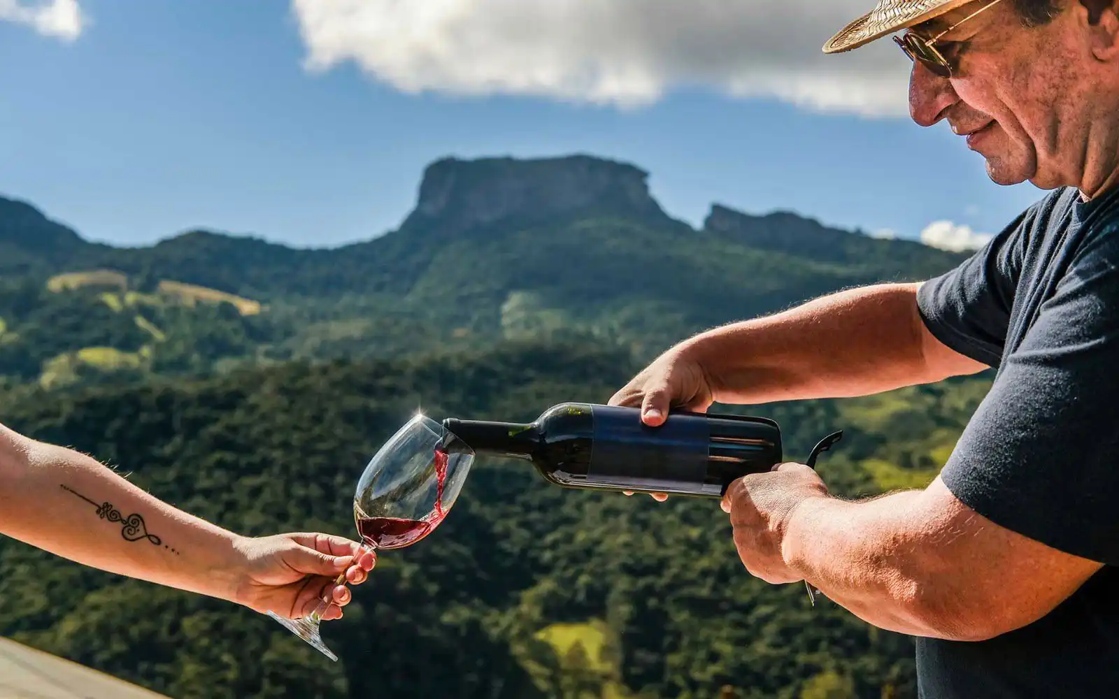 São Bento do Sapucaí se torna pioneiro em vinícolas de altitude no Brasil