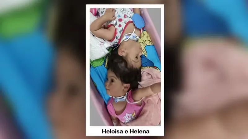 heloisa-e-helena.avif