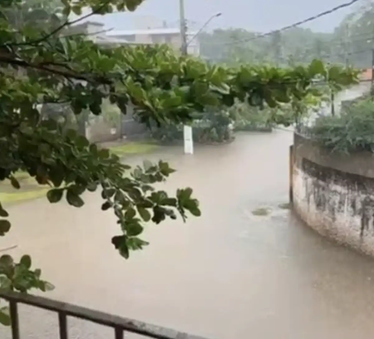 Chuva provoca deslizamentos de terra e alagamentos em Ubatuba