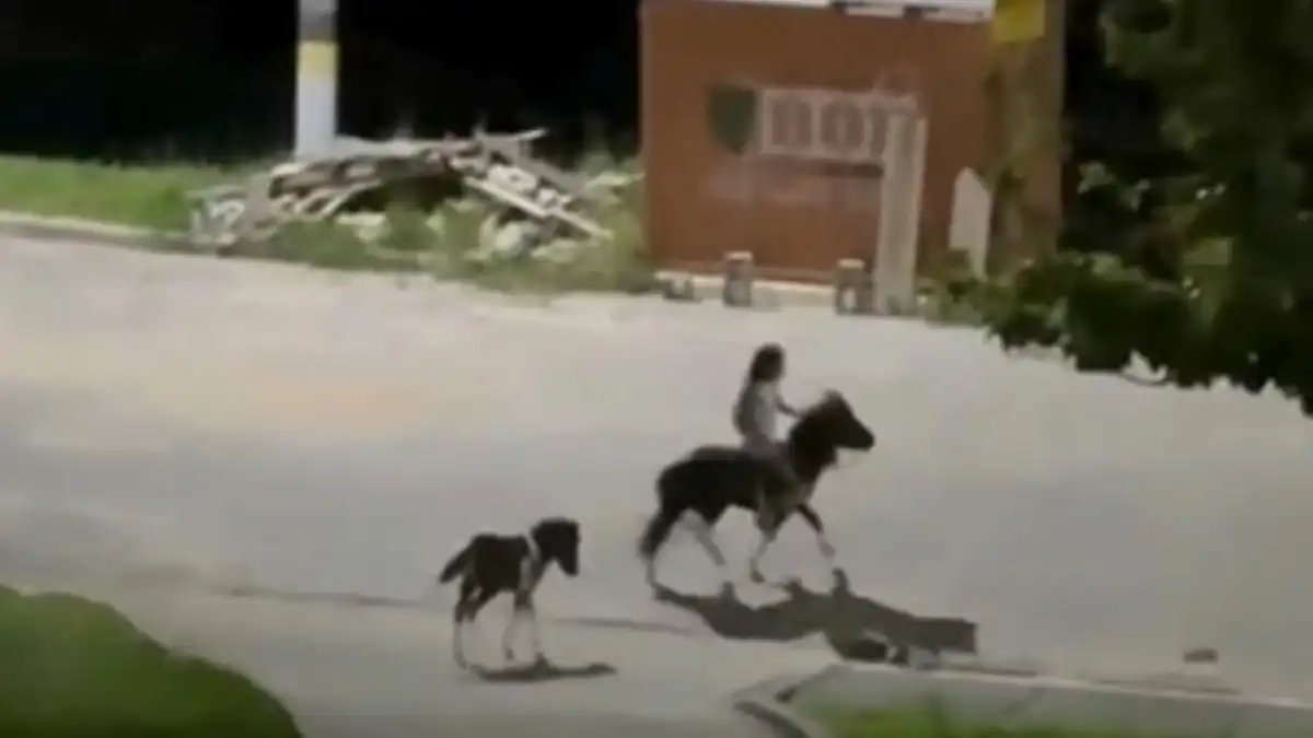Vídeo de criança andando de pônei à noite em Jacareí viraliza nas redes sociais