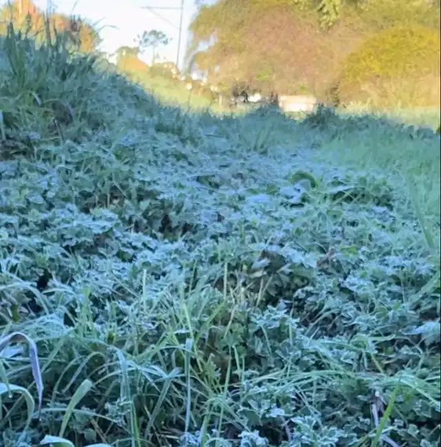 Campos do Jordão registra menor temperatura do ano