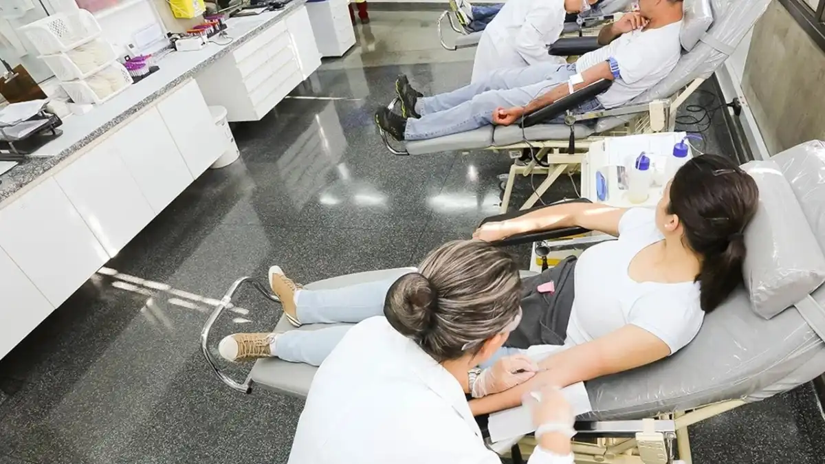 Confira quais são os requisitos para doar sangue e como funciona