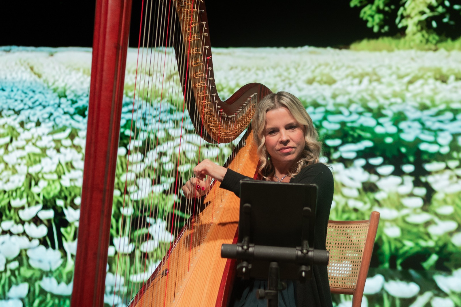 Apresentação Musical- Harpa Kátia Galasso