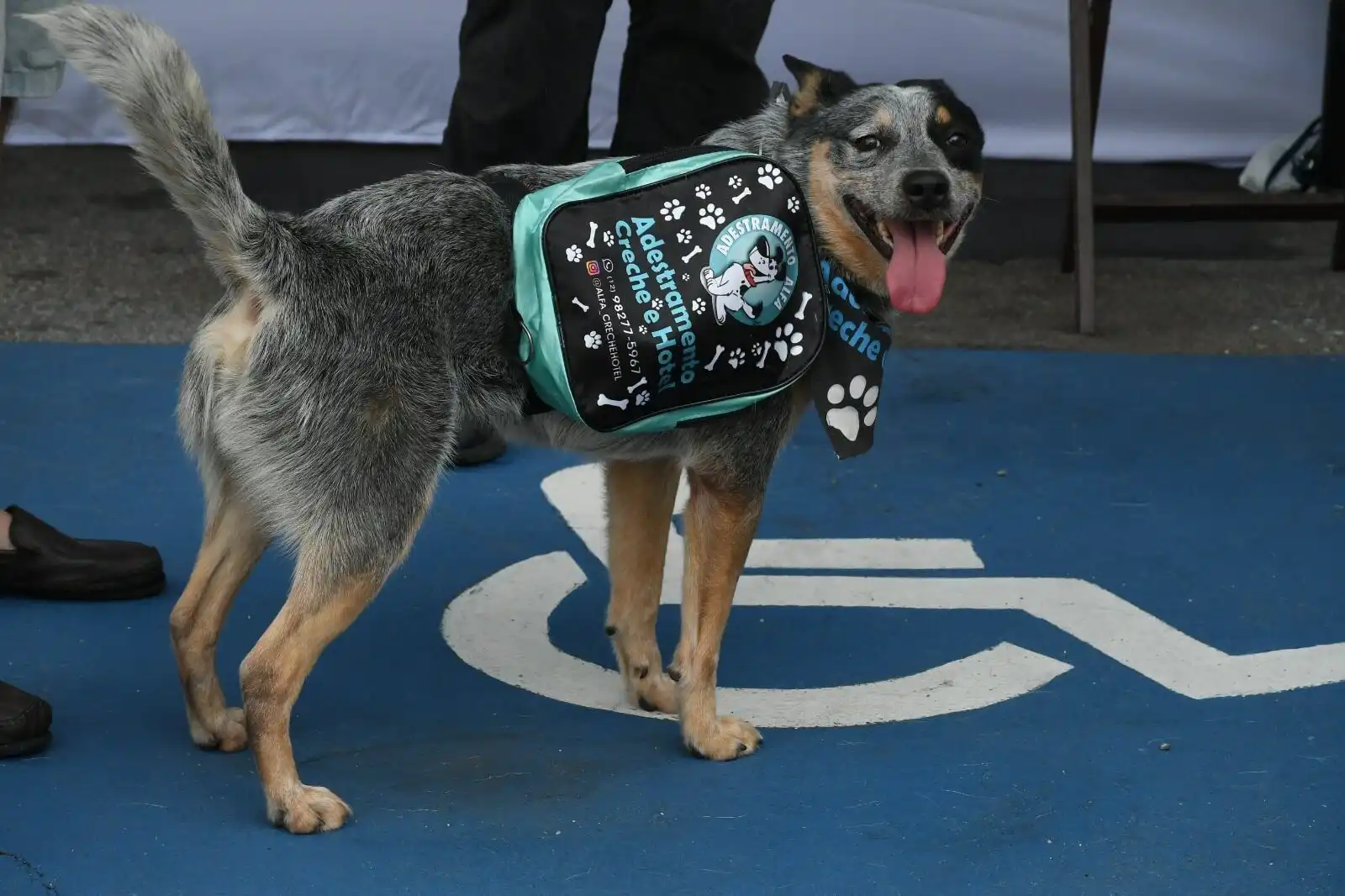 Shopping Esplanada tem Pet Day