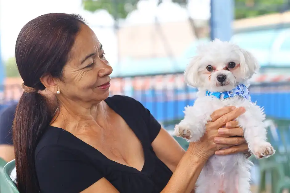 Castramóvel oferece 195 vagas gratuitas para cães e gatos na Zona Sul de São José