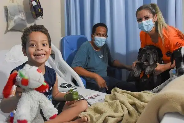 Momento fofura: cães terapeutas fazem sucesso em Ilhabela