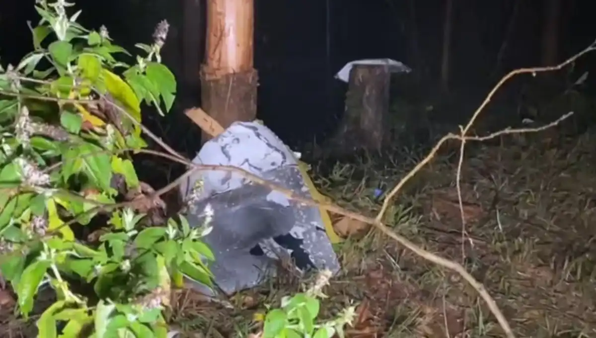Confira tudo o que se sabe sobre a queda do avião em Paraibuna