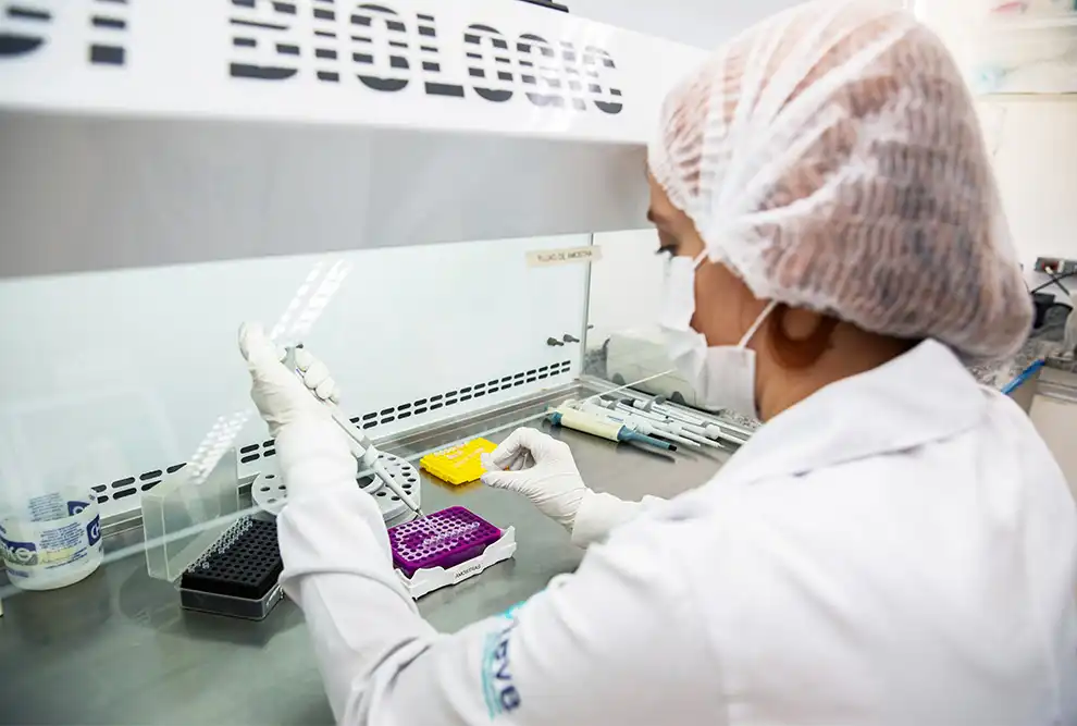 Anvisa aprova vacina contra chikungunya do Instituto Butantan e Valneva