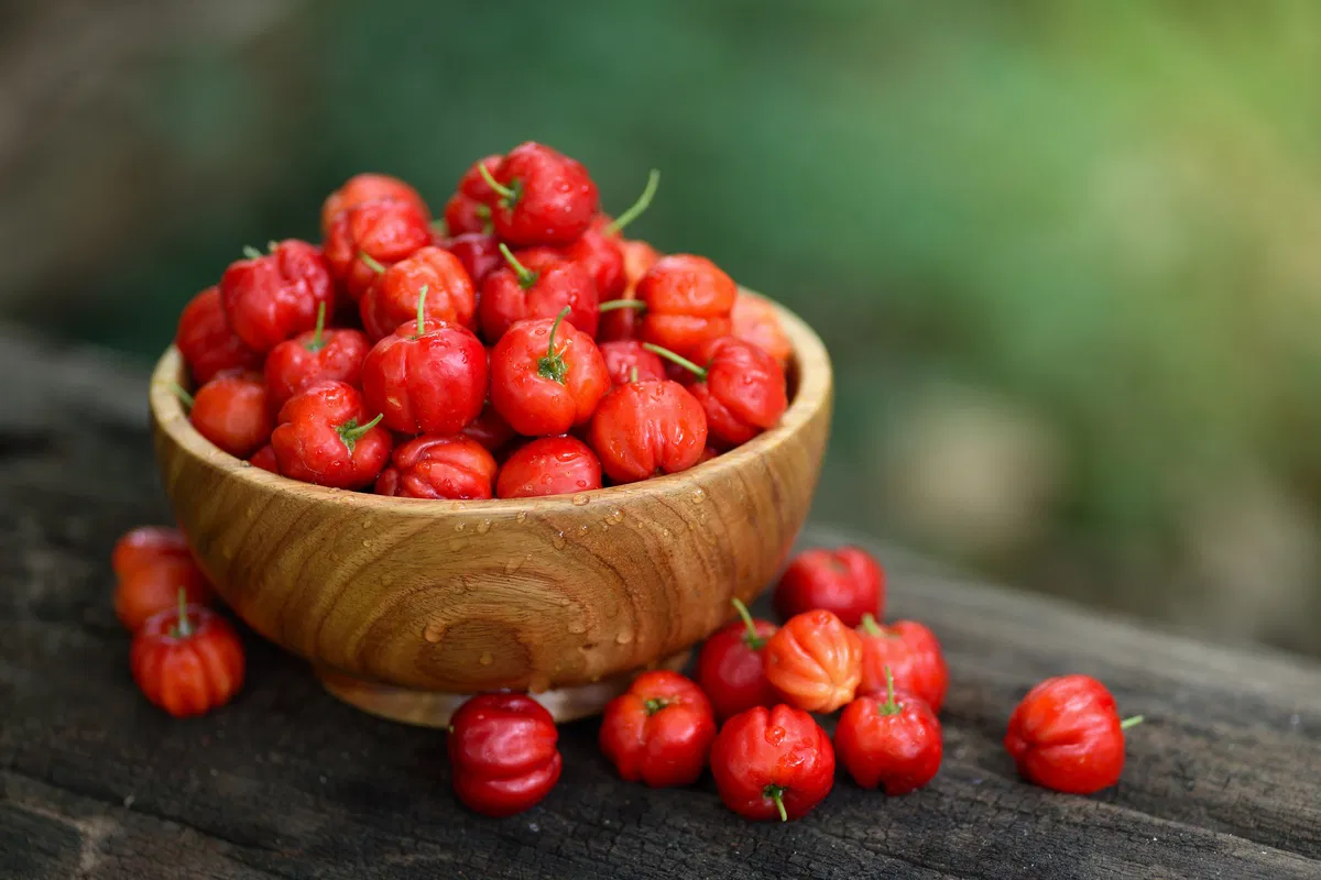 Melhore sua saúde: consuma acerola
