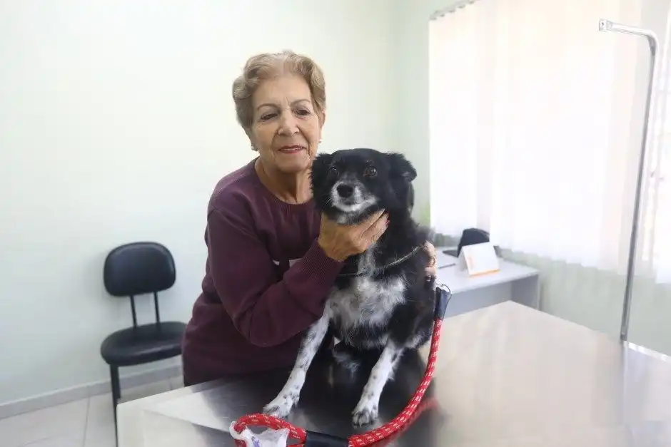 São José realiza feira de adoção de cães e gatos neste sábado
