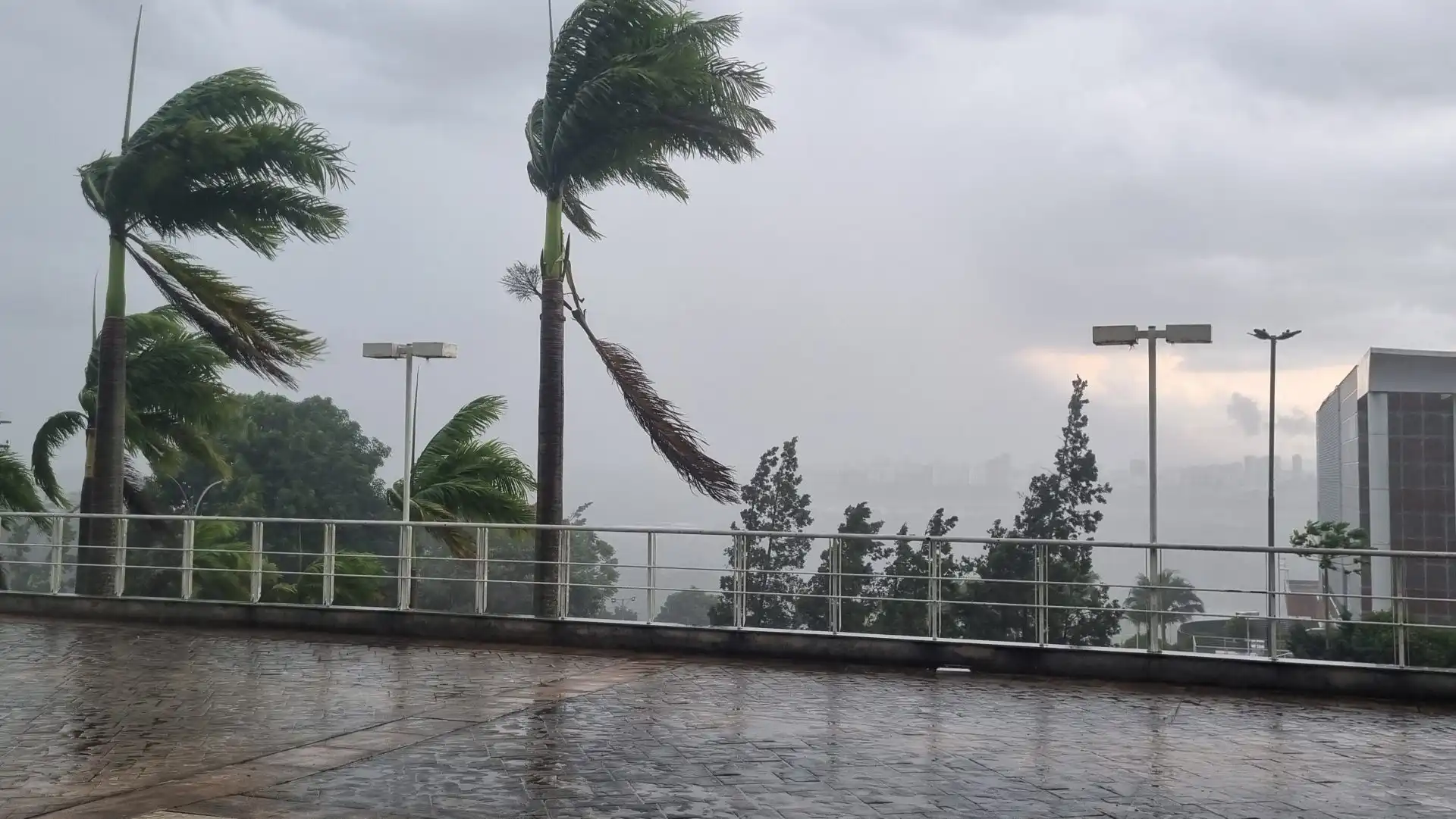 Chuva forte provoca pontos de alagamento na zona leste de São José dos Campos; confira o vídeo