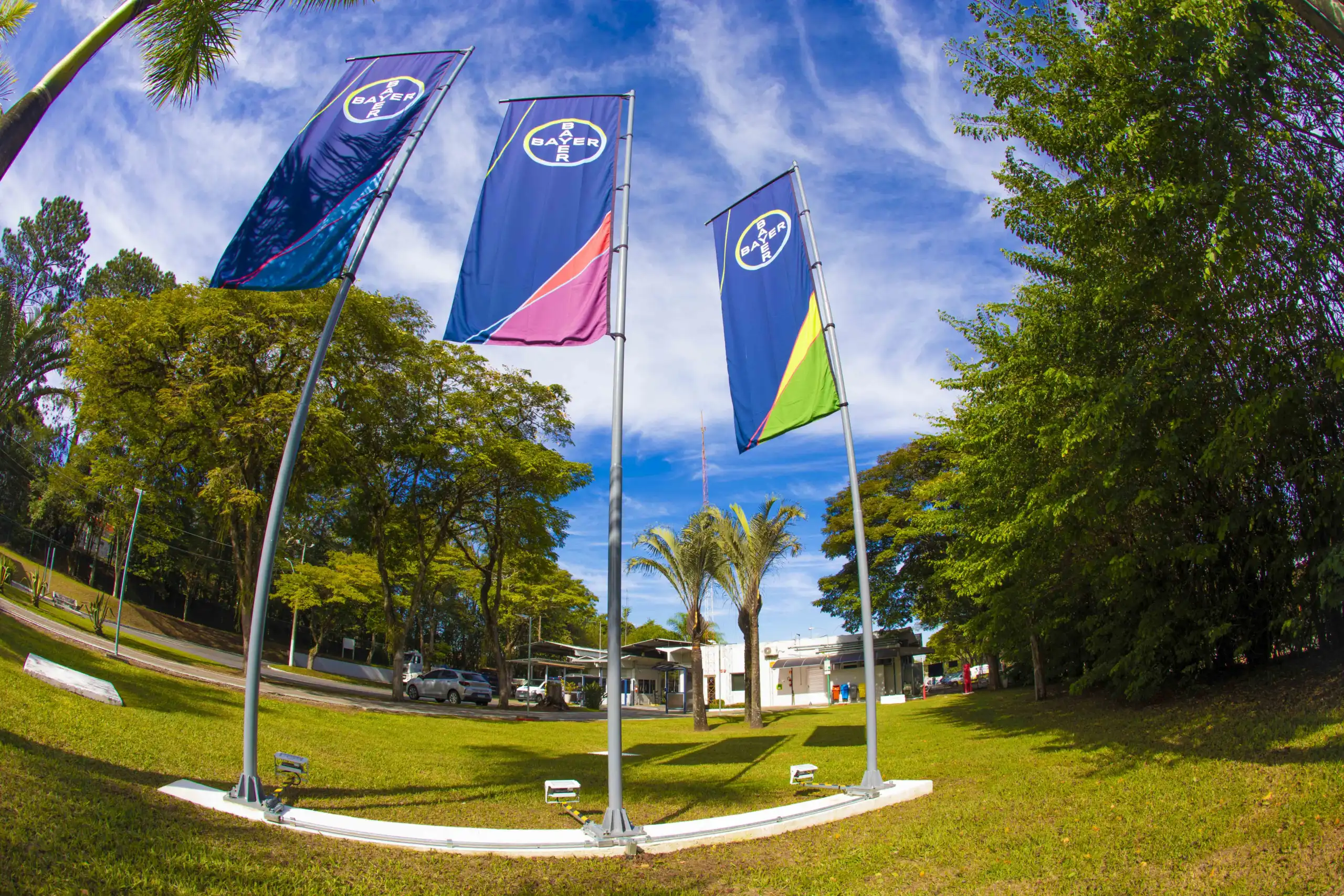 Prêmio Colmeia Bayer abre inscrições para projetos de inovação com ênfase em práticas ESG 