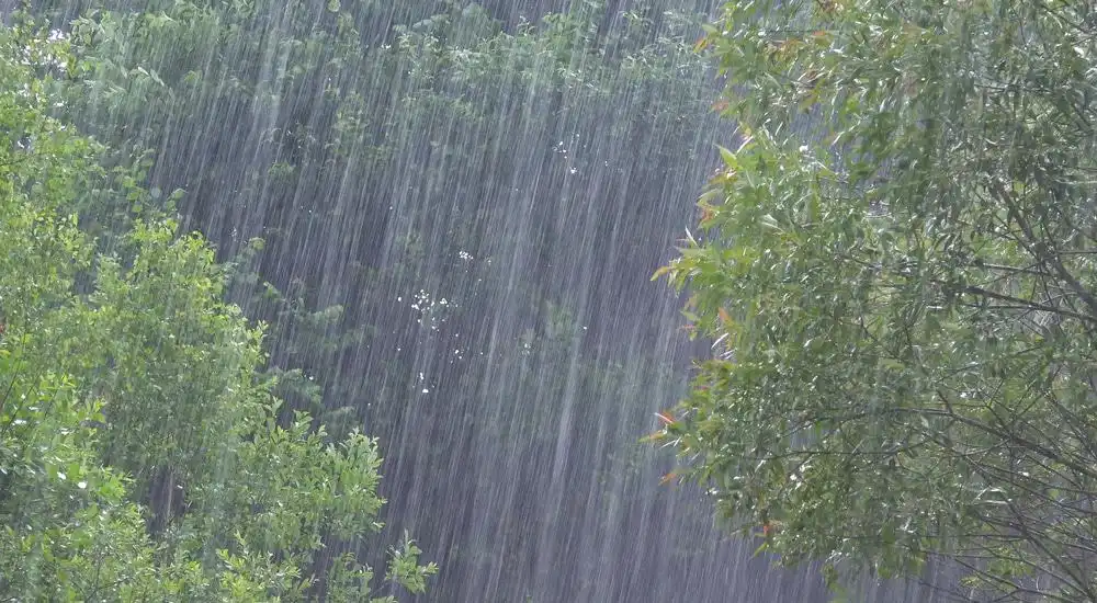 Alerta de chuvas intensas para Vale, Serra da Mantiqueira e Litoral Norte