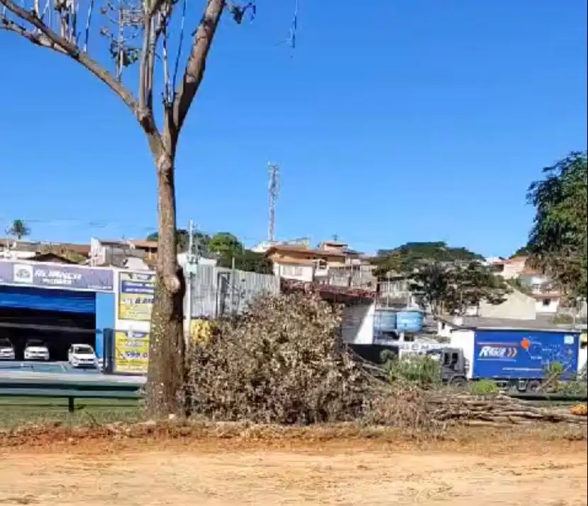 Duplicação da Av. Sebastião Gualberto tem retirada de árvores na Av. Fundo do Vale”