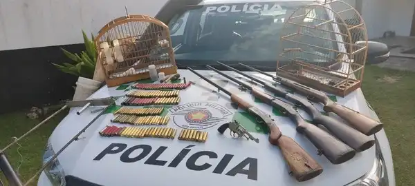 Polícia Ambiental apreende armas e ave silvestre em Silveiras