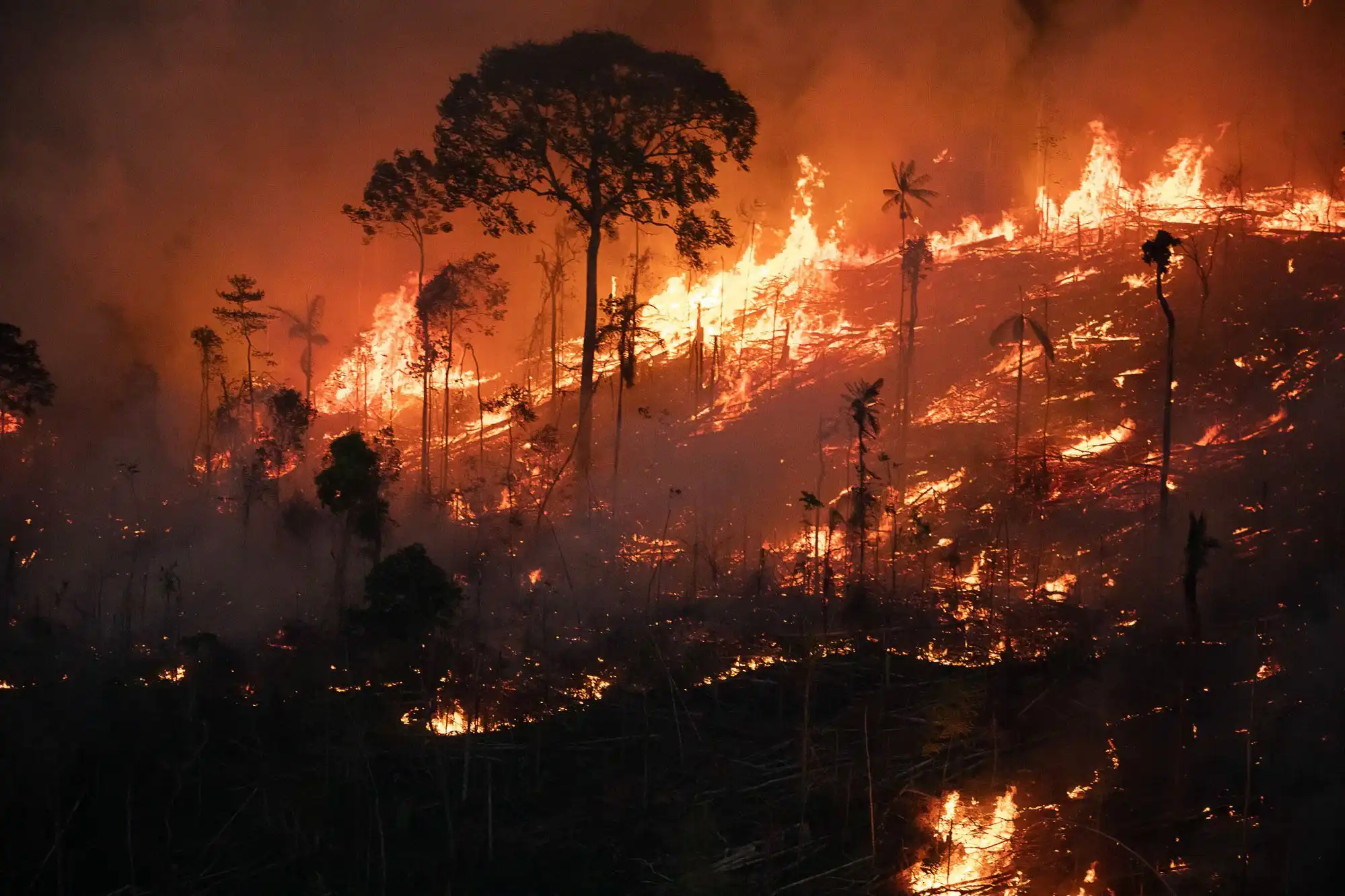 Brasil queimou mais de 21% do seu território em menos de 40 anos