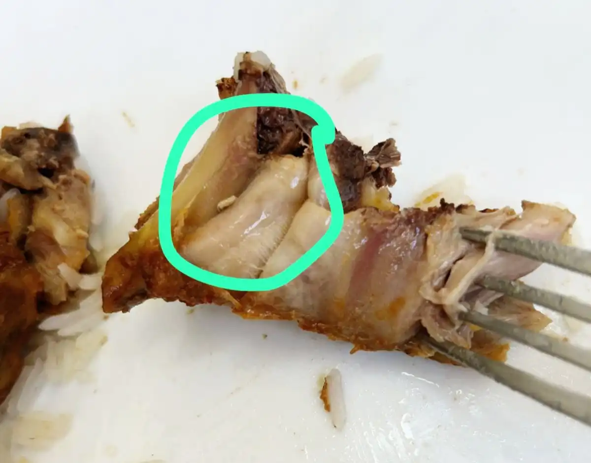 Larva é encontrada em comida da UPA do Alto da Ponte