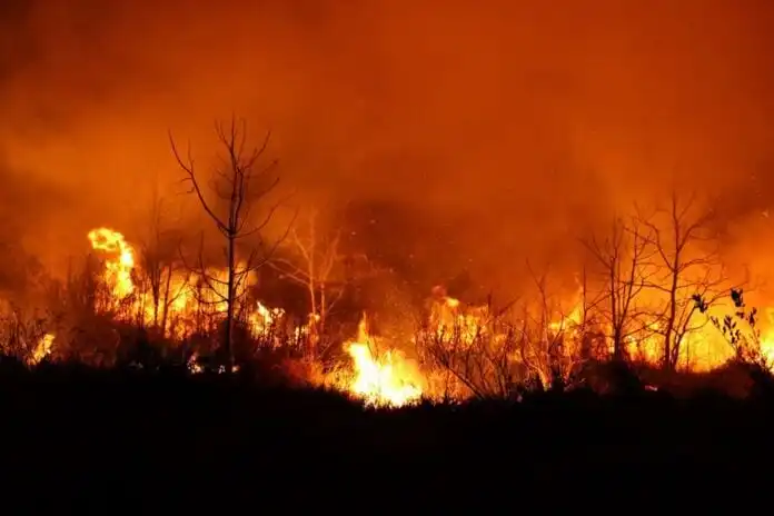 Vale do Paraíba entra em estado de alerta para risco de queimadas