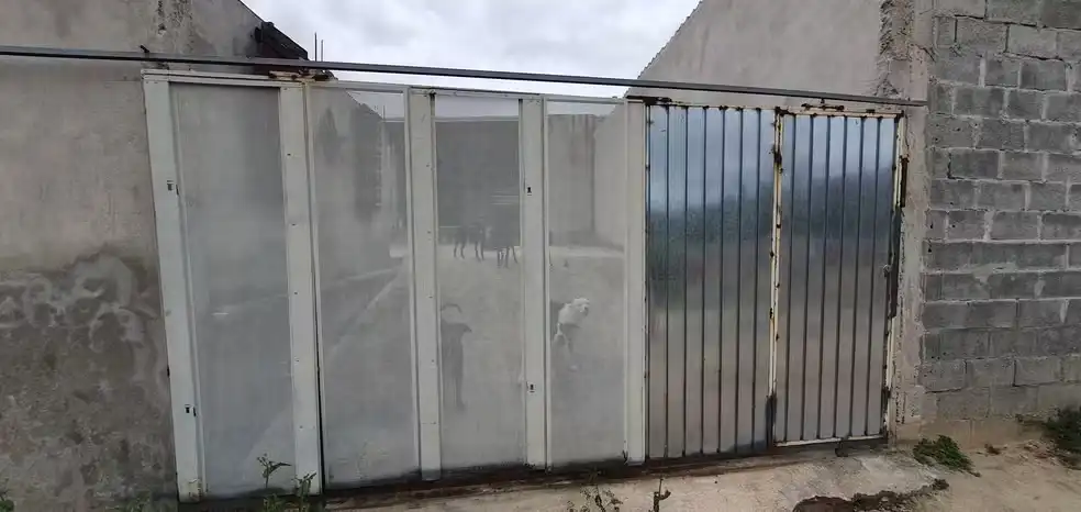Homem morre após ser atacado por cães em chácara de São José dos Campos 