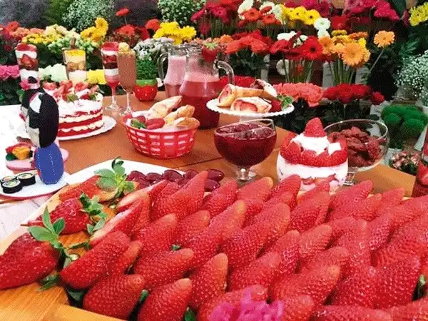 Parque da Cidade recebe “Festival de Flores &amp; Morangos” em comemoração ao aniversário de São José
