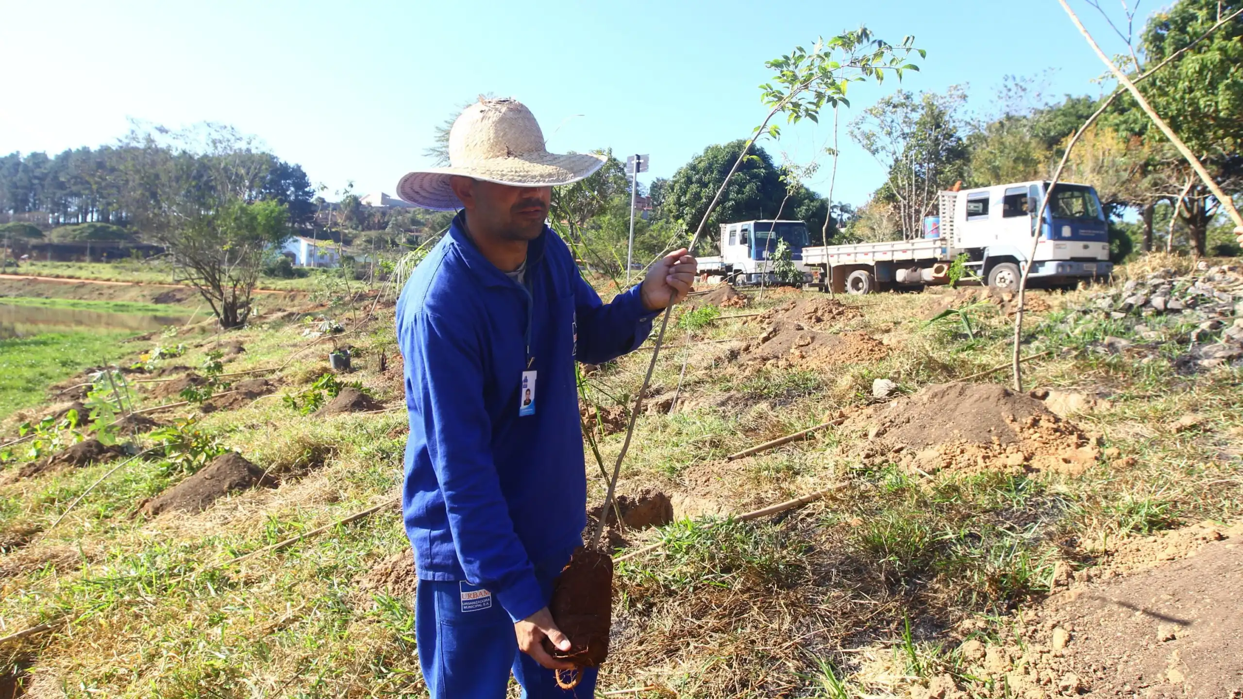 Prefeitura de São José plantará 5 mil árvores em 15 bairros