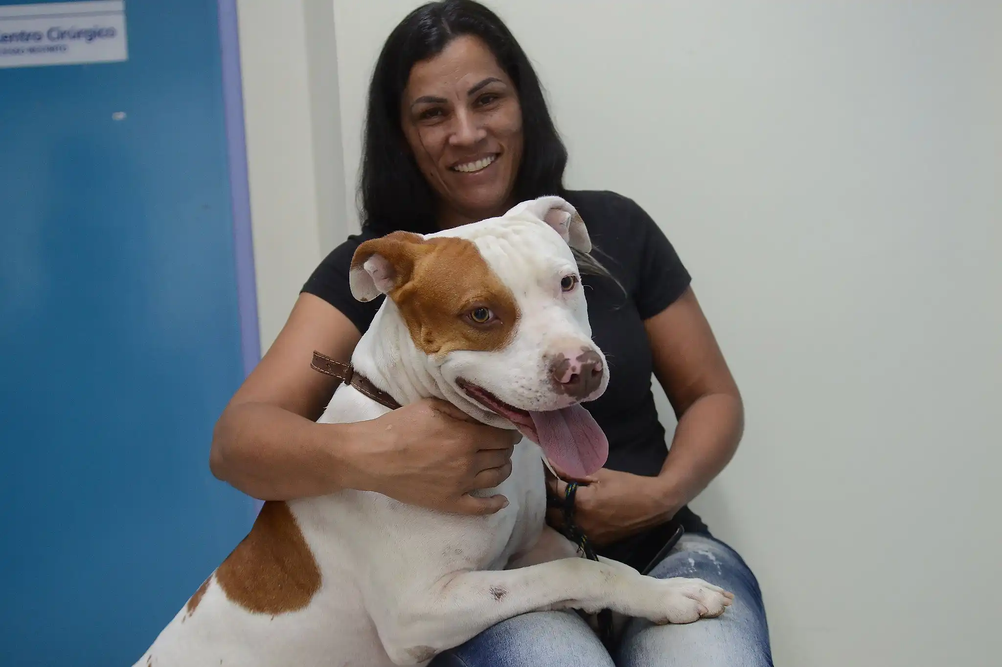 Inscrições para castração gratuita de pets começa nesta terça (23) em São José
