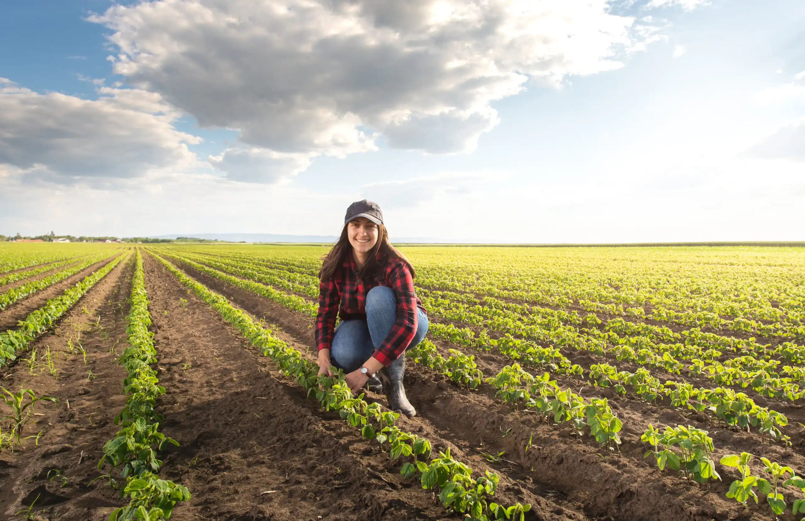 Agronomia lidera ranking como uma das piores áreas para empregabilidade
