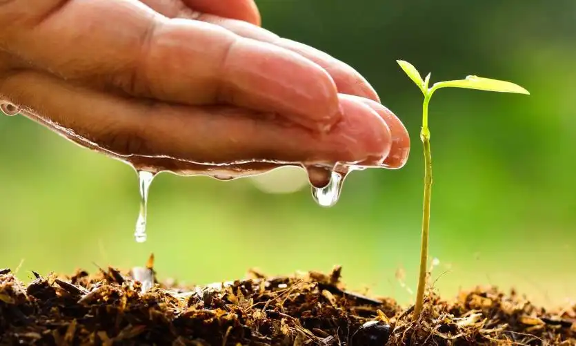Dia Mundial do Meio Ambiente: empresas e municípios paulistas acessam linhas de crédito da Desenvolve SP para investirem em boas práticas ambientais