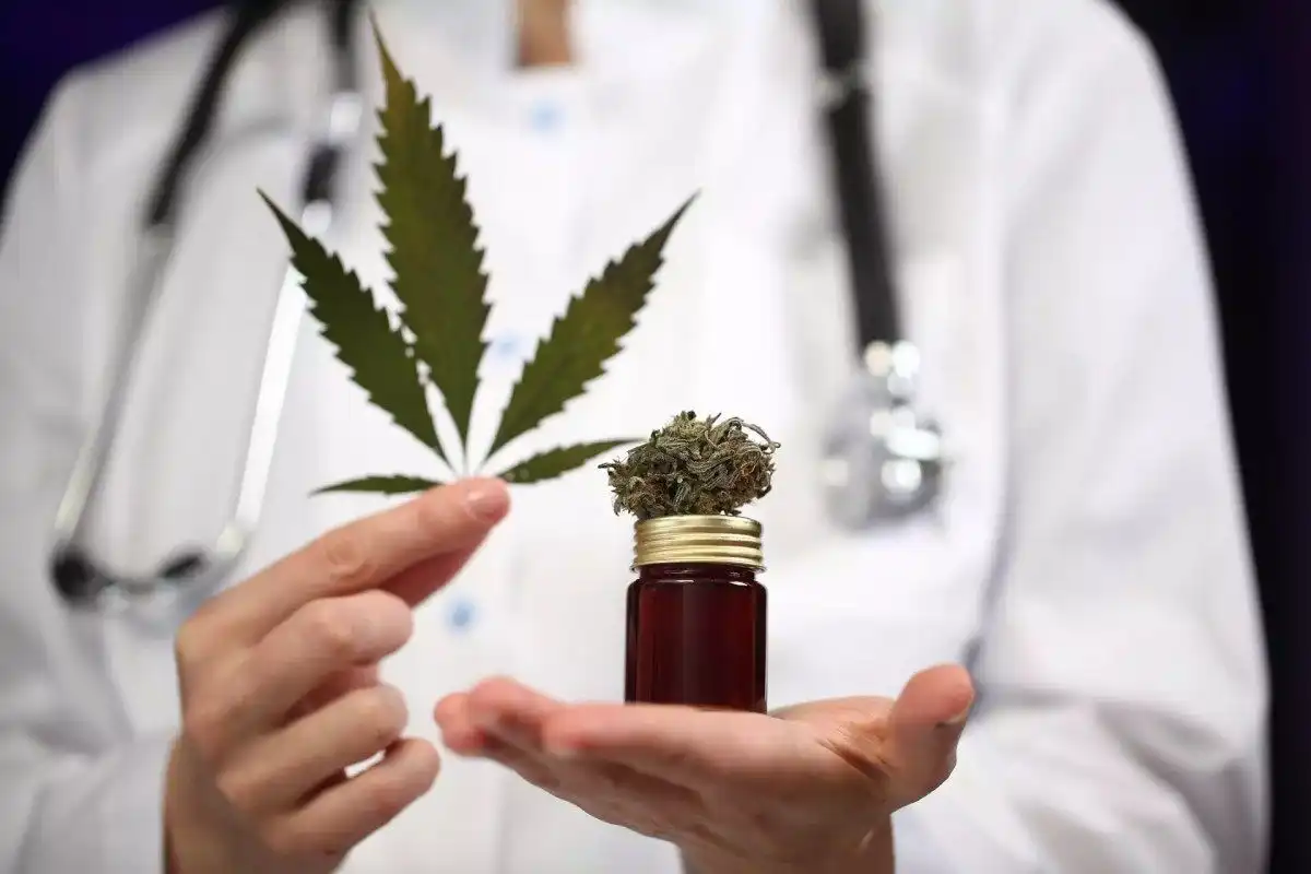 Permissão exclusiva para o cultivo de cannabis no Brasil