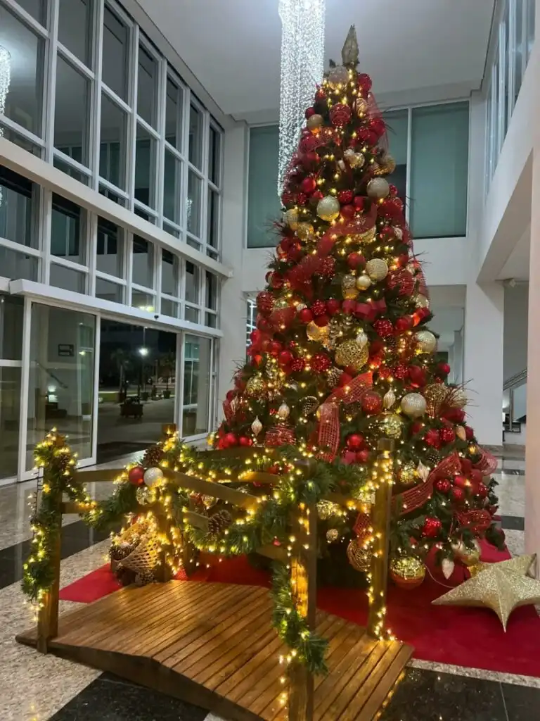 Aluguel de árvores e decorações de Natal está em alta em São José dos Campos