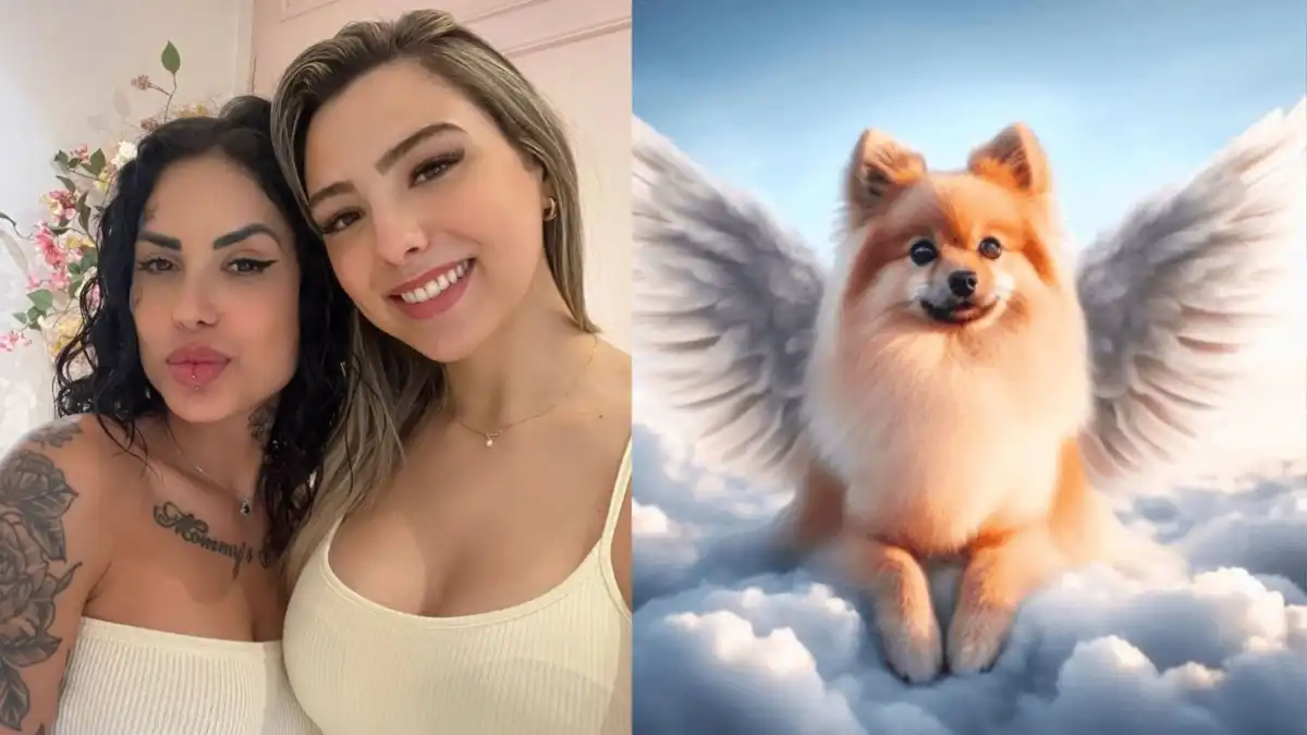 Sofia Albuquerque, tutora de Fox, lançará álbum musical em 2025