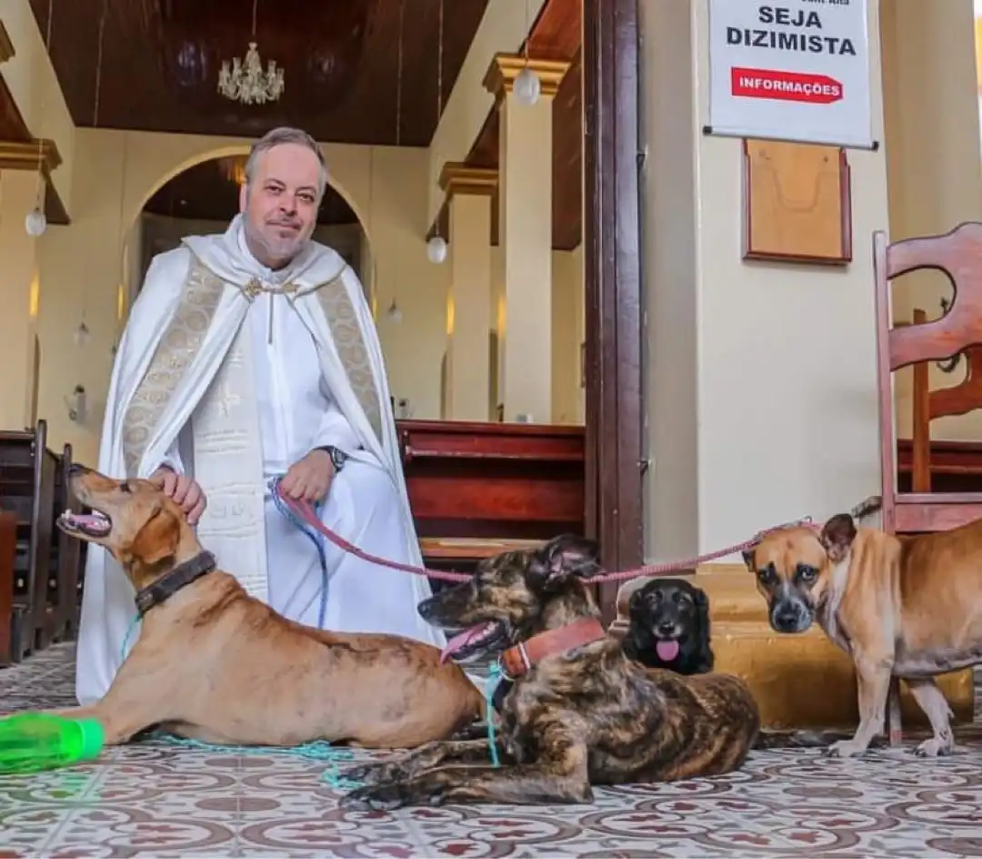 Padre resgata cães abandonados e os apresenta nas missas para adoção