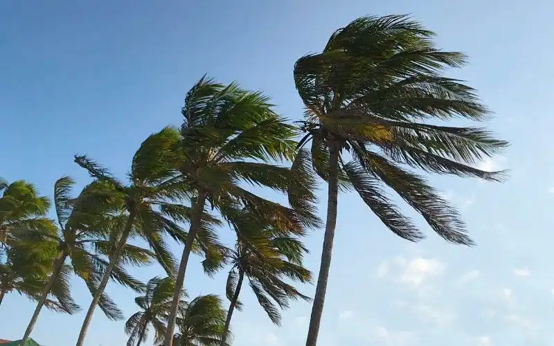 Defesa Civil alerta que ventos podem chegar a 74km/h no Litoral Norte