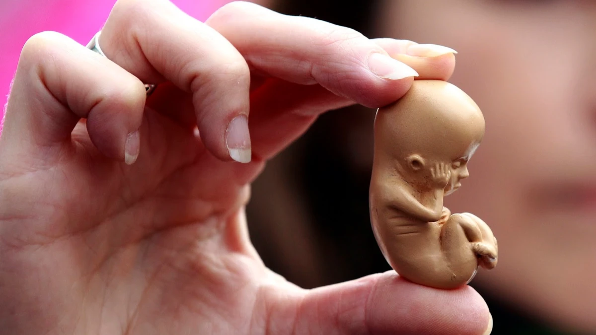 Massachusetts aprova lei que permite aborto até 9 meses