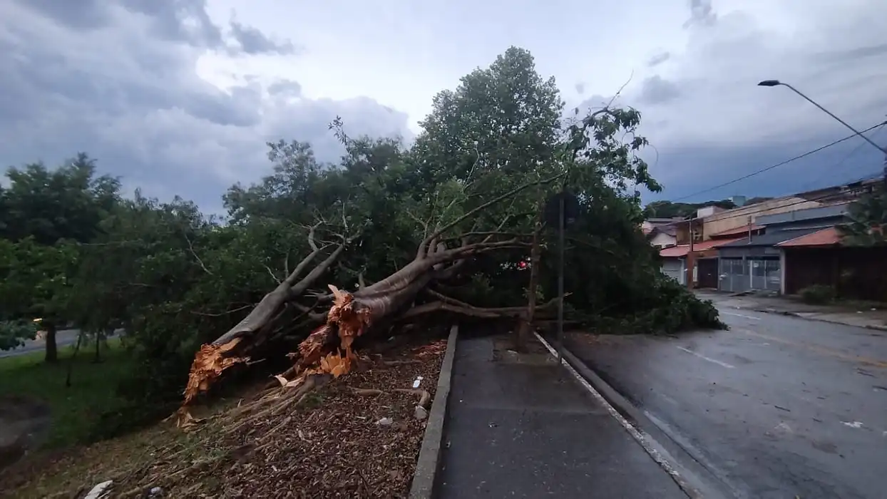 Inmet emite alerta de ventos de até 60 km/h para Vale e Litoral