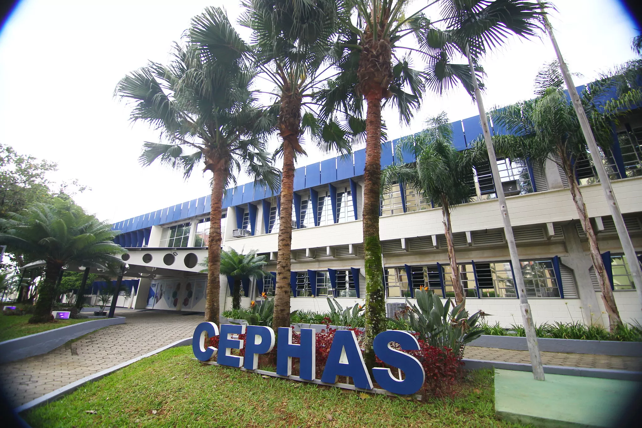 Cephas anuncia abertura de matrículas dos aprovados no vestibulinho