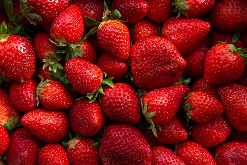 Festa Flores e Morangos continua neste fim de semana em São José dos Campos