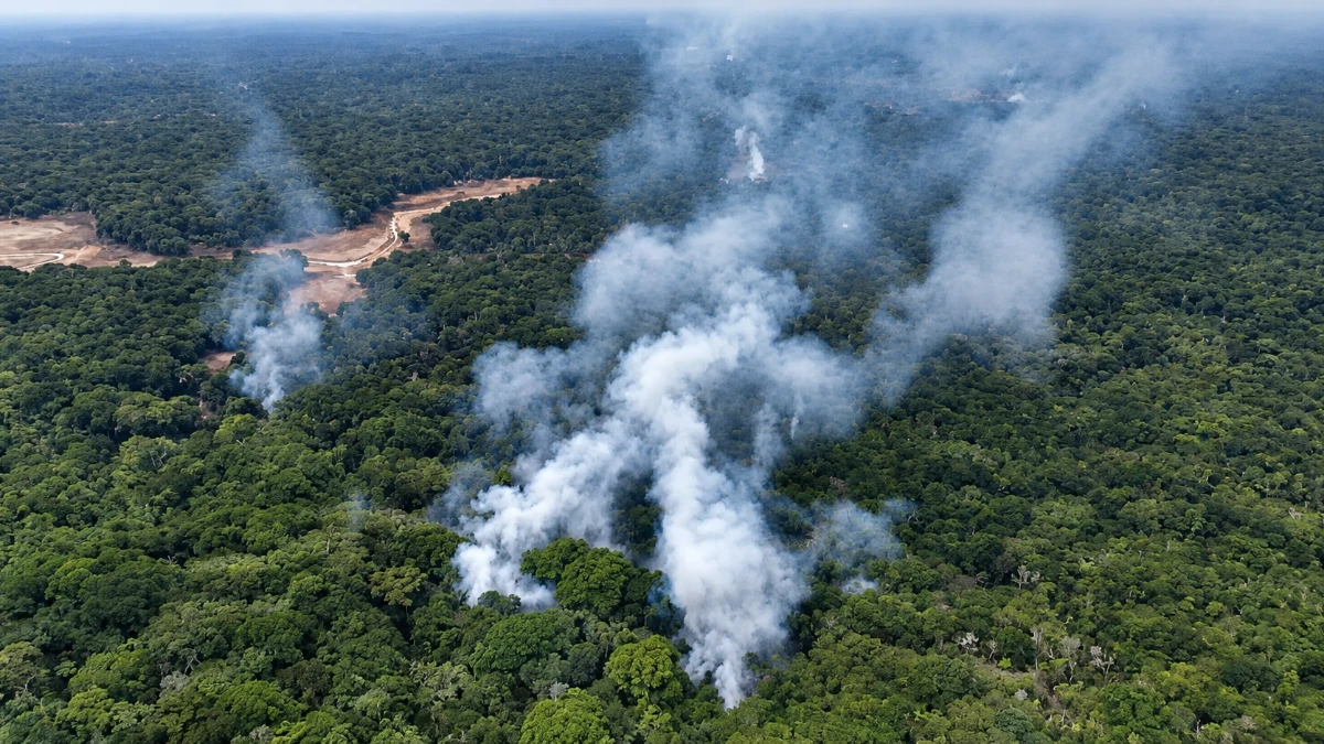 Queimadas e desmatamento fazem Amazônia emitir mais carbono do que absorve, aponta estudo